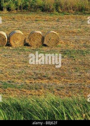 drei Strohballen im Feld in Bauernhof in Landschaft Stockfoto