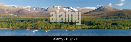 Panoramablick auf diedie nördlichen Hochgebirgsflora Cairngorms National Park, ab Loch Morlich, Glenmore, Aviemore. Stockfoto