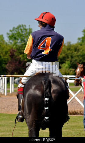 Polo Pony und Reiter Stockfoto