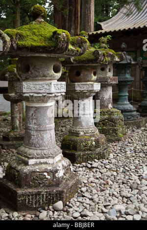 Moosigen Steinlaternen im Tōshōgū-Schrein in Nikko Stockfoto