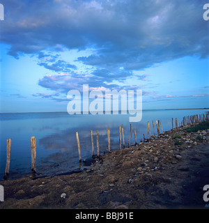 Holzpfosten am Strand bei Sonnenuntergang. Frankreich. Stockfoto