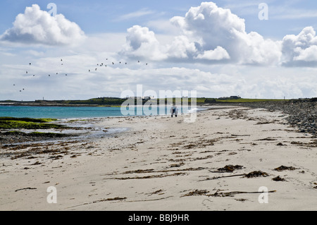 dh Linklet Bay NORTH RONALDSAY ORKNEY Menschen laufen auf sandigen Strand Wanderer Stockfoto