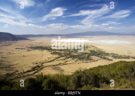 Ansicht des Ngorongoro-Kraters von oben, Tansania Stockfoto