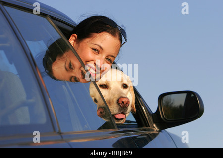 junge Frau und Labrador Retriever Hund aus einem Auto suchen Stockfoto