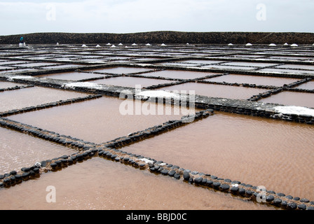 Las Salinas del Carmen Stockfoto