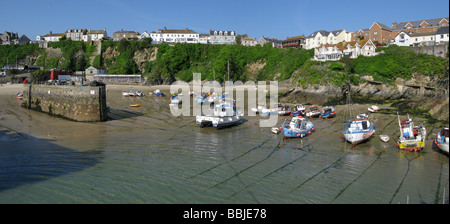 Panoramische Ansicht der Angelboote/Fischerboote in Newquay Hafen bei Ebbe, Cornwall UK. Stockfoto