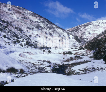 Cardingmill Valley in Shropshire ist mit Schnee bedeckt. Stockfoto