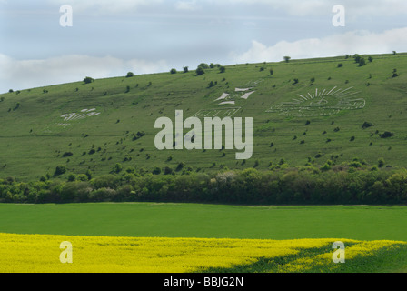 Regiments-Abzeichen am Fovant Stockfoto