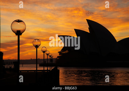 Straßenlaternen und Dawn Sydney New South Wales Australien Sydney Opera House Stockfoto