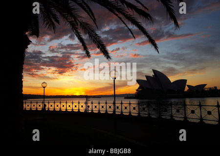 Dawn Sydney New South Wales Australien Sydney Opera House Stockfoto