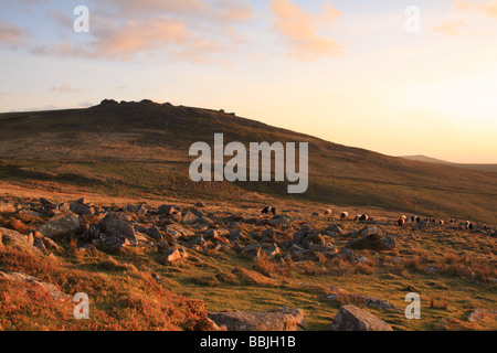 West-Mühle-Tor, Dartmoor, Devon, Englan im Frühjahr Stockfoto