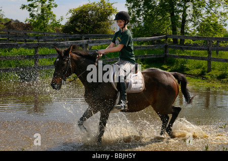 Junges Mädchen auf einem Bucht thoroughbred Pferd durch einen Teich in Ontario Stockfoto