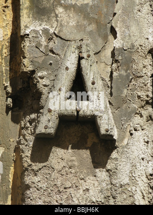 Brief einer Hausnummer an alte Holztür Front in Sonne Stockfoto
