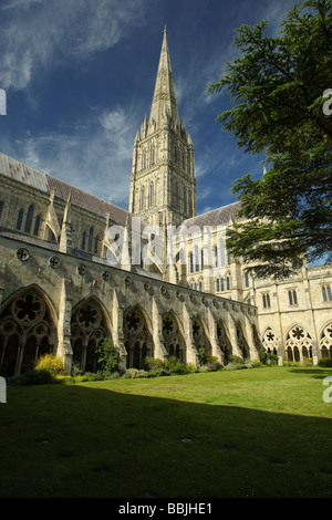 Kathedrale von Salisbury aus den Kreuzgängen, Wiltshire England Stockfoto