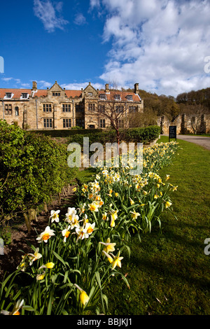 Mount Grace Priory im Frühjahr in der Nähe von Osmotherley North Yorkshire Stockfoto