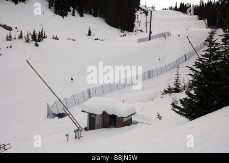 Dave Murray Abfahrt Teil des 2010 Olympische Spiele Whistler, British Columbia Kanada Stockfoto