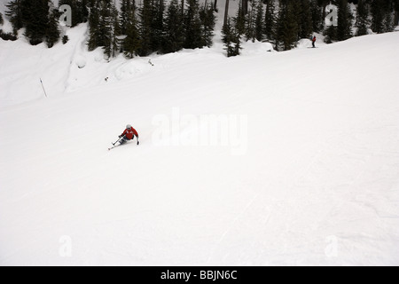 Para-Skifahrer auf der Dave Murray Abfahrt Teil der 2010 Olympische Spiele Whistler, British Columbia Kanada Stockfoto