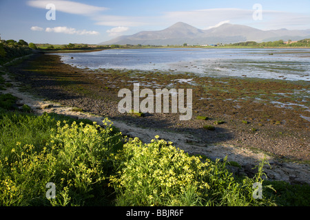 Küste im Murlough Naturreservat die Mourne Mountains im Hintergrund Grafschaft, Nord-Irland Stockfoto