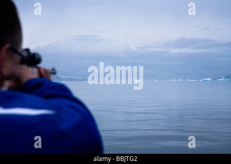 Siegel-Jäger in Süd-Grönland Stockfoto