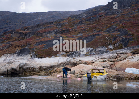 Siegel-Jäger in Süd-Grönland Stockfoto