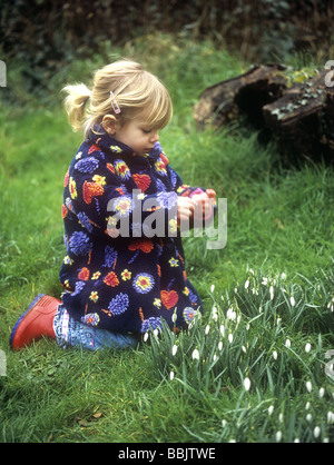 Kleinkind betrachten Schneeglöckchen in einem Garten, Cornwall, UK Stockfoto