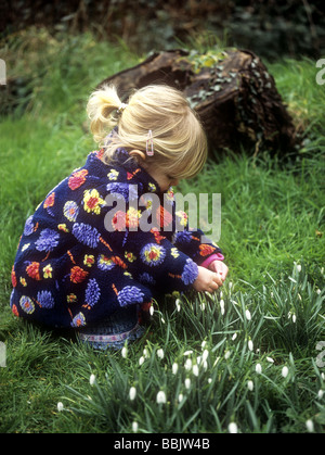 Kleinkind betrachten Schneeglöckchen in einem Garten, Cornwall, UK Stockfoto