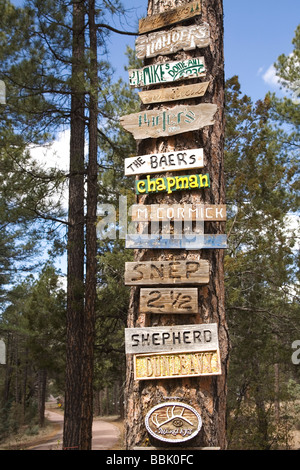 Camp Zeichen auf Baum Payson, Arizona Stockfoto