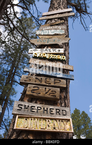 Camp Zeichen auf Baum Payson, Arizona Stockfoto