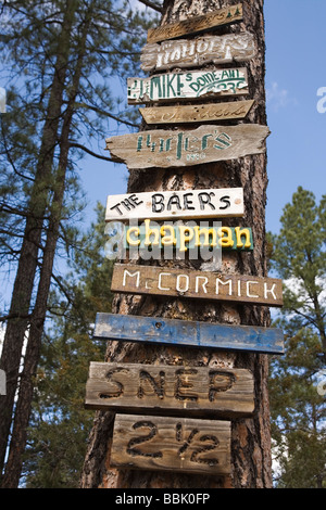 Camp Zeichen auf Baum Payson, Arizona Stockfoto