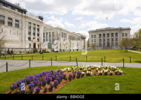 Harvard Medical School Boston, Massachusetts Stockfoto