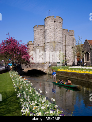 Männer Stechkahn fahren Touristen entlang der Westgate Gärten am Fluss Stour in Canterbury, Kent, UK Stockfoto