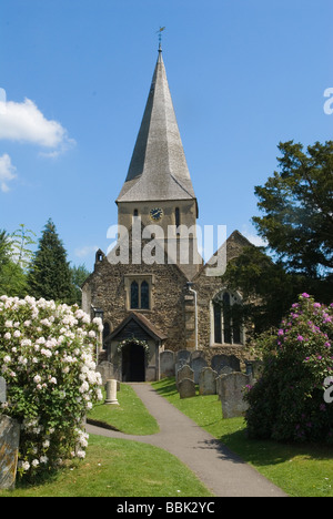 Shere Surrey, ein ziemlich typisches englisches Dorf St James Church HOMER SYKES Stockfoto