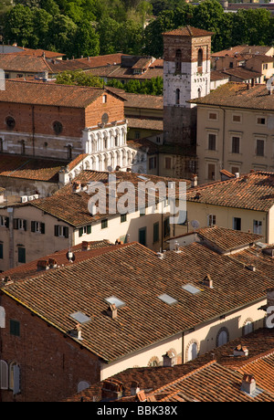 Hohe Aussicht auf die Stadt vom Torre Guinigi, Chiesa di Santa Maria Bianca, Lucca, Toskana, Italien, Europa Stockfoto