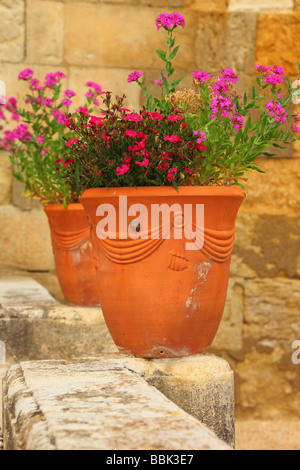 Flower Pot ehemaliger Erzbischof Blumengarten Saint Nazaire Kathedrale Beziers Herault Languedoc-Roussillon Frankreich Stockfoto