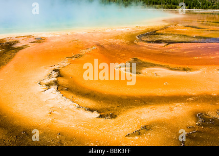 Grand Prismatic Spring im Yellowstone National Park Stockfoto