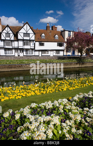 Westgate Gärten und Fluss Stour in Canterbury, Kent, UK Stockfoto