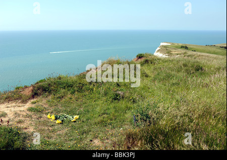 Die rührende an der berühmten Ausflugsort Beachy Head in East Sussex, die auch einen berüchtigten Ort für begehen Selbstmord Stockfoto