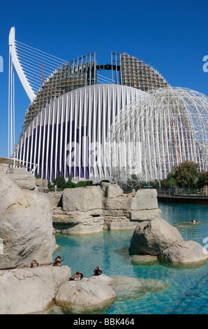 Von Santiago Calatrava entworfen, ist L'Oceanografic, Stadt der Künste und Wissenschaften von Valencia eine beeindruckende Sammlung moderner Gebäude Stockfoto