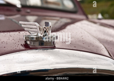 Vordere Abzeichen eines Wolseley-Autos, mit leichtem Regen Stockfoto