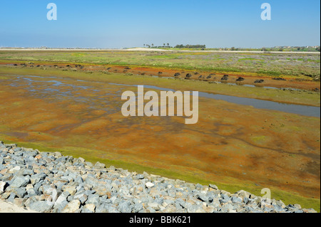 Das Bolsa Chica Ecological Reserve - ein State Marine Conservation Area (SMCA), Huntington Beach CA Stockfoto