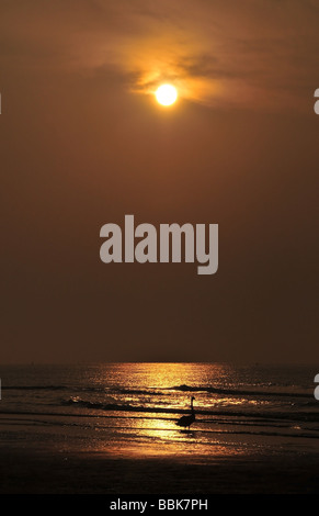 Roter Sonnenaufgang über der Adria mit einem Schwan stehen im Schein der Sonne am Strand mit sanften Wellen an Jesolo, Italien Stockfoto