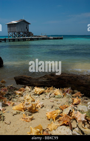 Tobacco Caye Steg Stockfoto