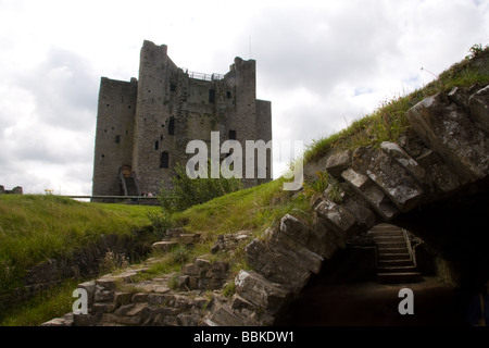 Trim Castle, Trim, Co Meath, Irland Stockfoto