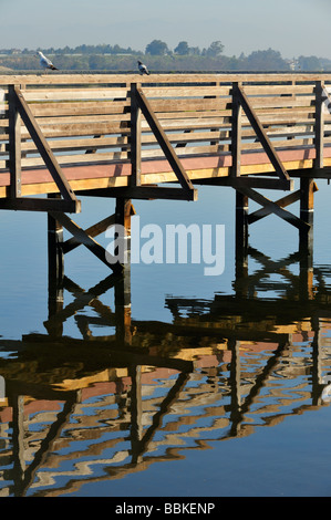 Das Bolsa Chica Ecological Reserve - ein State Marine Conservation Area (SMCA), Huntington Beach CA Stockfoto