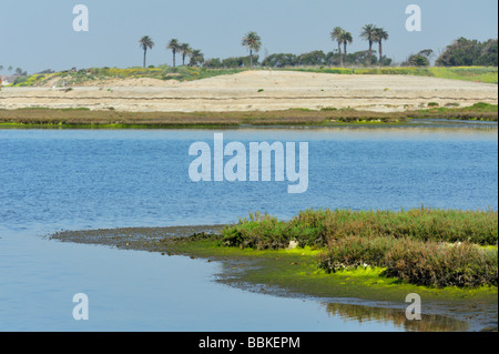 Das Bolsa Chica Ecological Reserve - ein State Marine Conservation Area (SMCA), Huntington Beach CA Stockfoto