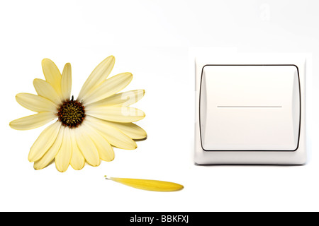 Blume Beeing abgeschält und Licht-Taste wechseln. Stellvertretend für Energieeinsparung. Stockfoto