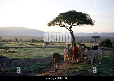 . Die Tiere der Welt. Brehm das Leben der Tiere;. Säugetiere. Die