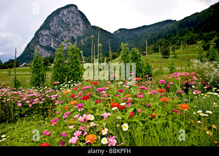 Fruchtbaren Tal im Triglav Nationalpark in Slowenien Stockfoto