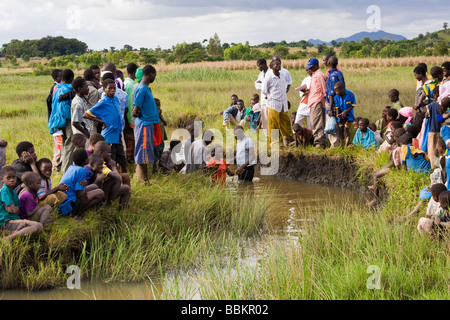 Christliche Erwachsenentaufe durch völliges Eintauchen in einen flachen Fluss in der Nähe des Dorfes Nyombe, Malawi, Afrika Stockfoto