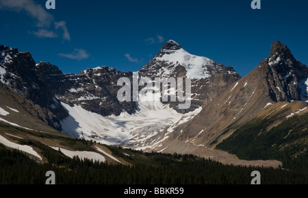 Schneebedeckten Rocky Mountain View im Sommer. Entnommen aus den Icefield Parkway, Banff National Park. Stockfoto